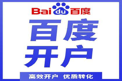 百度推广案例：精准广告投放策略解析